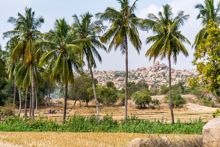 India 2014 - Hampi 088.jpg